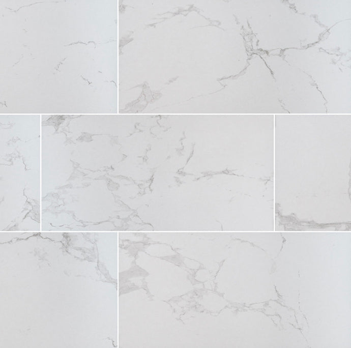 Praia Carrara  24x48 Porcelain Tile